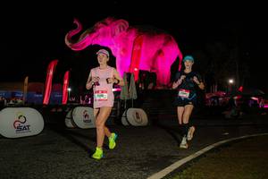 BIB: 
                            <button type="button" onclick="openModal(26534309)" class="btn btn-primary btn-sm float-right btn-popup" data-toggle="modal" data-target=".modal-high-quality">
                        <i class="fas fa-shopping-cart"></i> Add to Cart
                    </button>
                                            <button type="button" onclick="isThisMe(26534309, true)" class="btn btn-success btn-sm float-right btn-popup btn-isme hidden" data-toggle="tooltip" data-placement="bottom" title="นี่คือรูปของคุณใช่ไหม คลิกที่นี่เพื่อเอาเข้าอัลบั้ม">
                        <i class="fas fa-plus"></i> Add to album
                    </button>
                    <button type="button" onclick="isThisMe(26534309, false)" class="btn btn-warning btn-sm float-right btn-popup btn-isnotme hidden">
                        <i class="fas fa-ban"></i> Remove from album
                    </button>